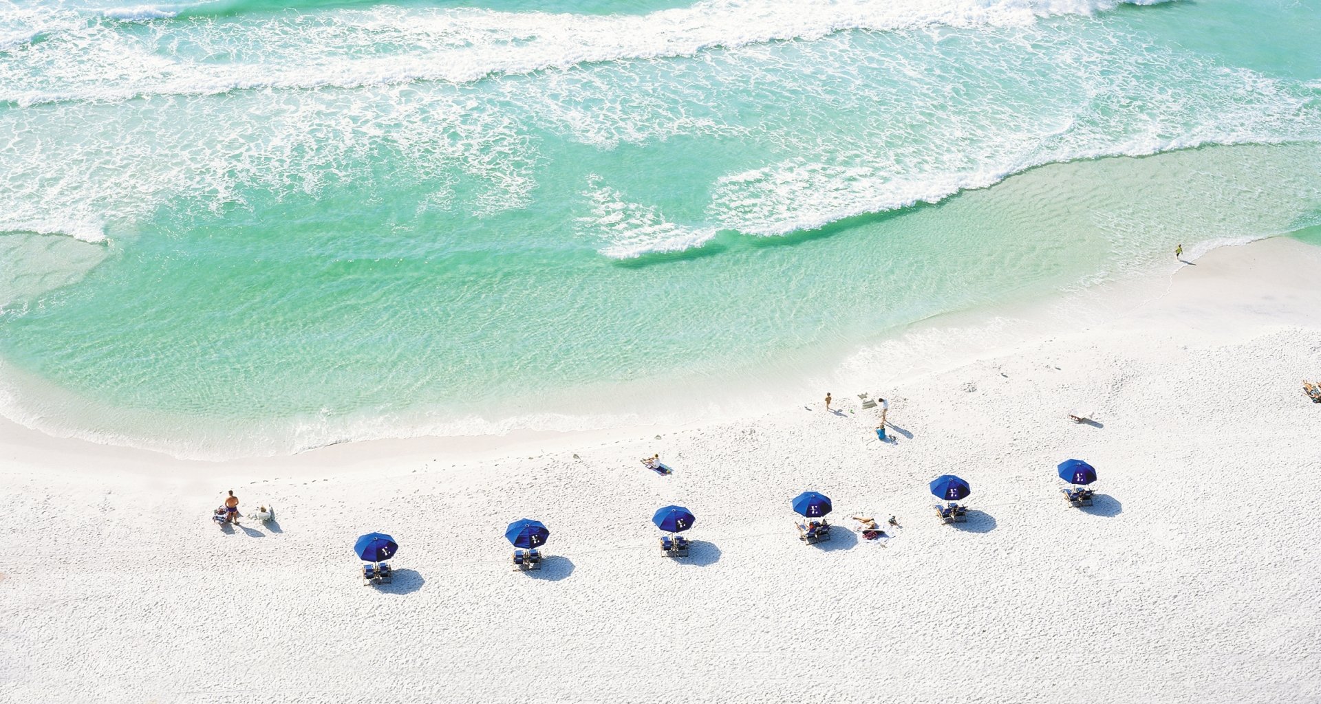 Aerial view of beach umbrellas by the water