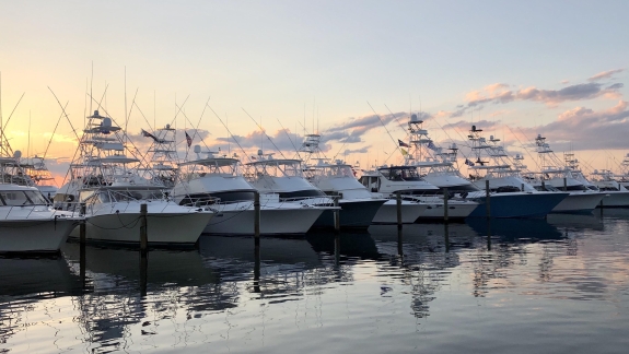 Boats lined up at the Hotel Effie Marina