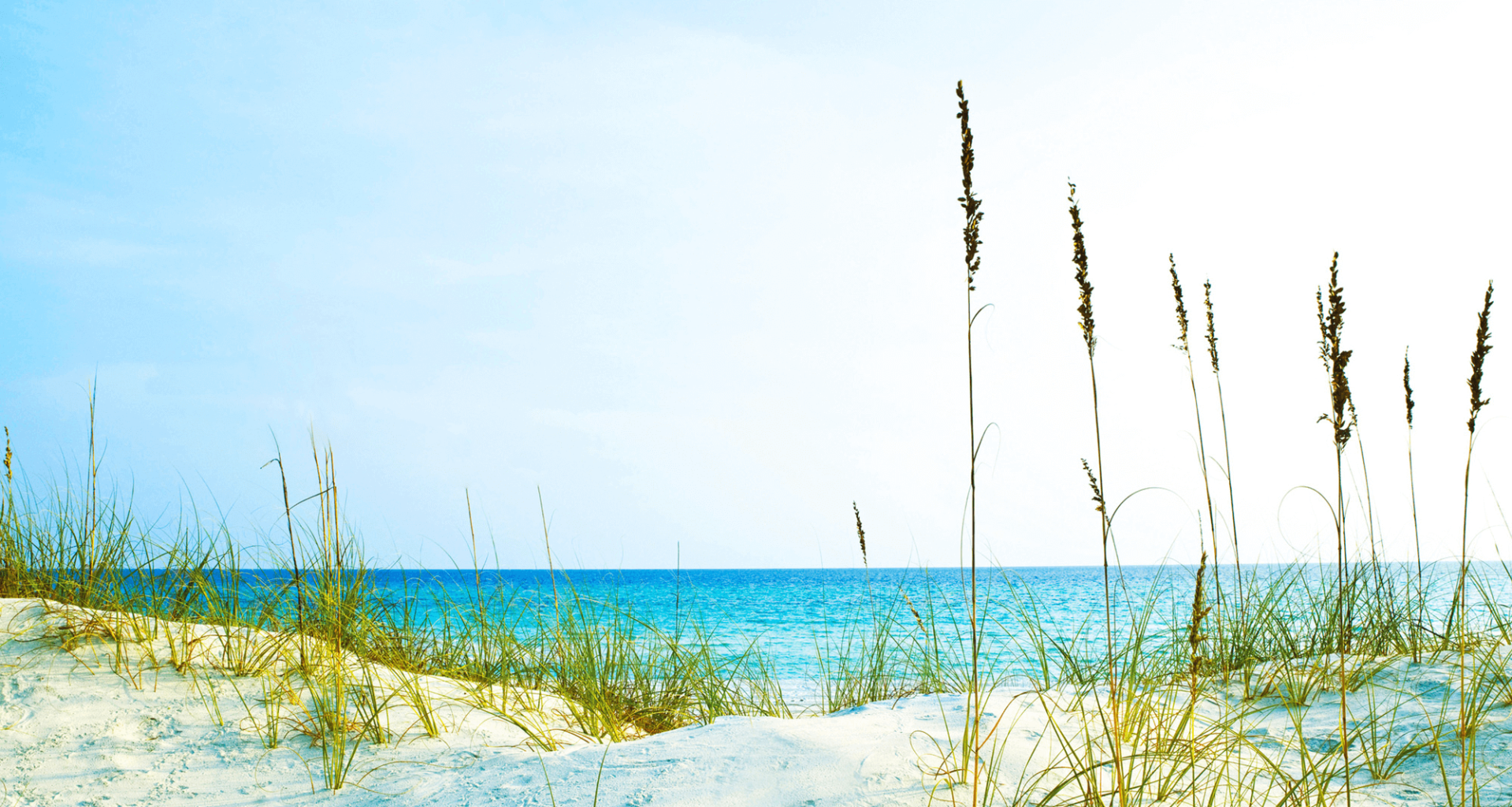 Sand dunes and the ocean in the background.