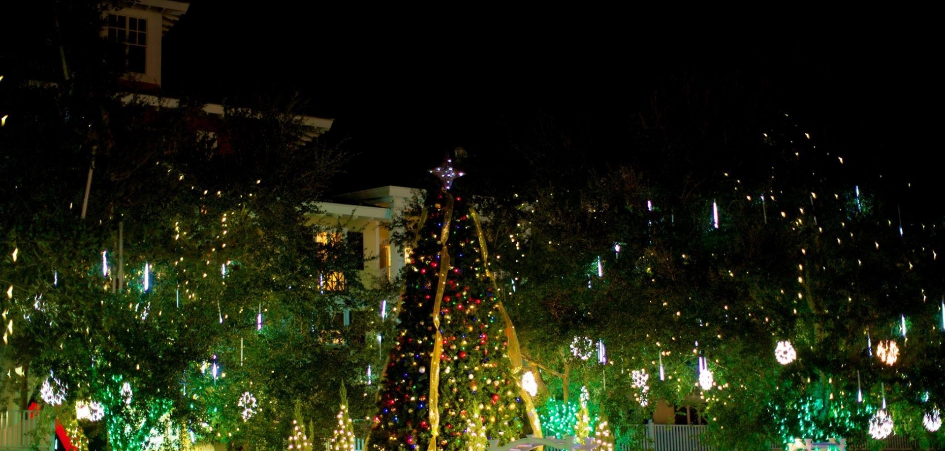 Christmas tree decorated in lights