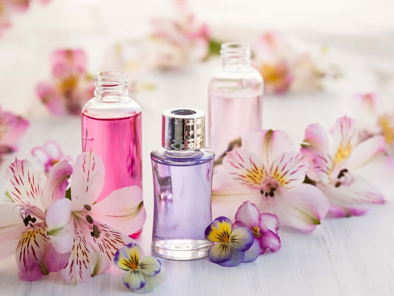 Spring Promo