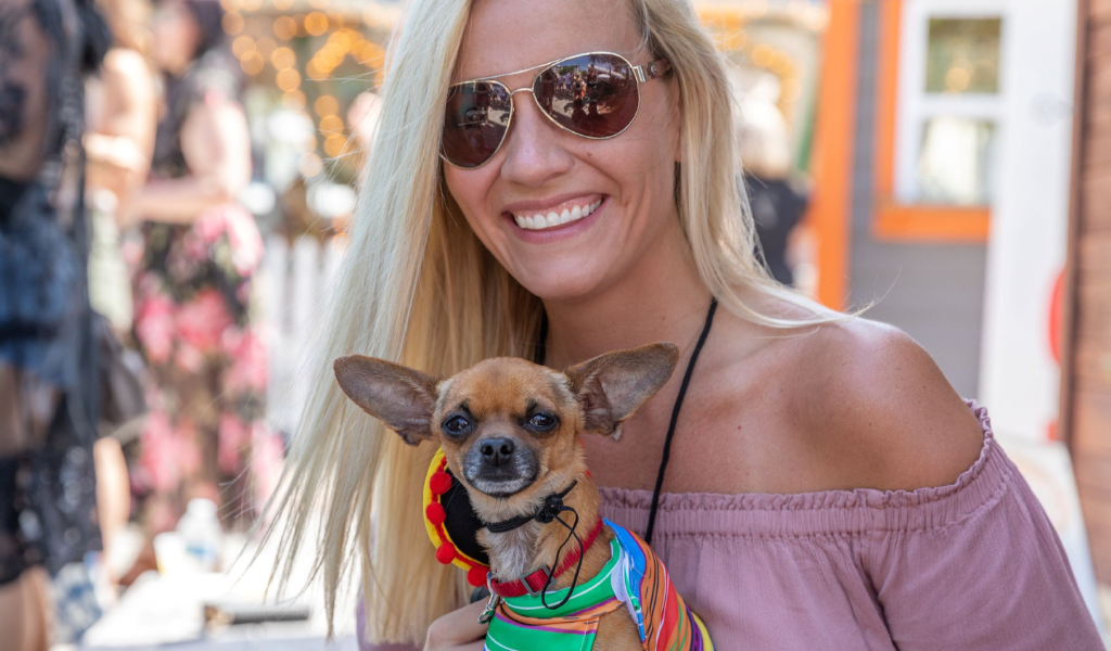 Tacos and Tequila Room Package I