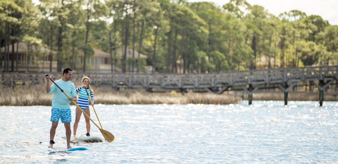 Paddle Boards